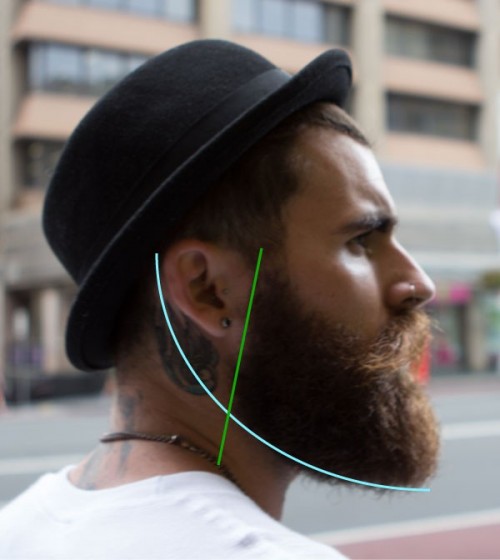 geometria brady